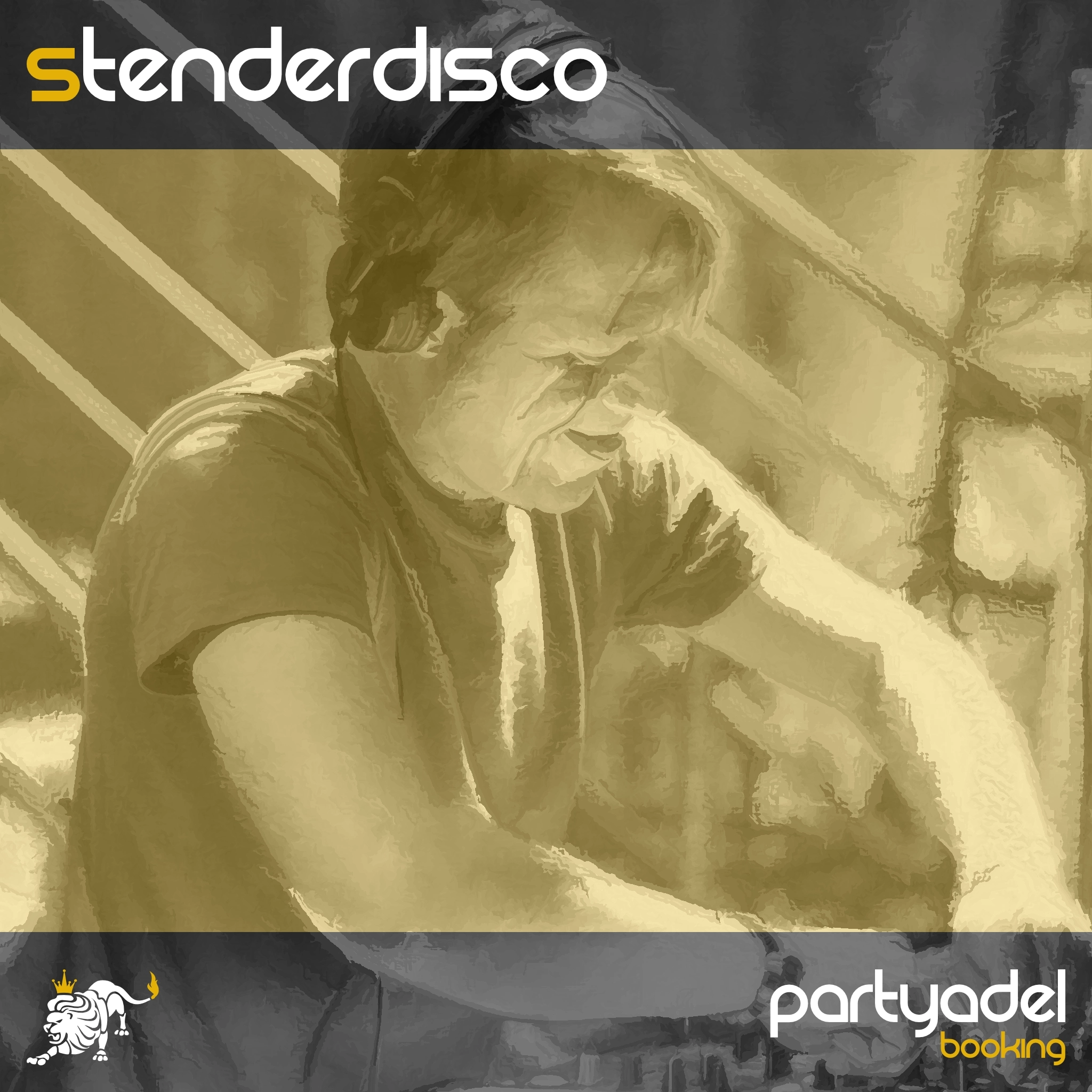Stenderdisco Cover
